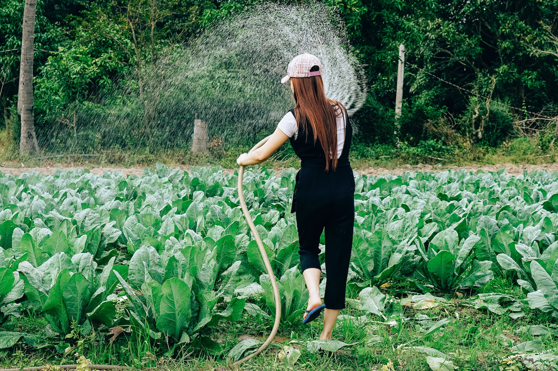 How Gardening Can Improve Your Health